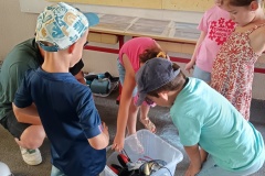 IMG_20260530_095051
