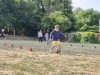 IMG20230630094046