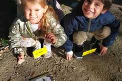 IMG-20251002-WA0009