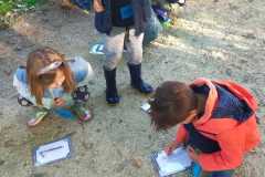 IMG-20251002-WA0033