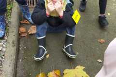 IMG-20251113-WA0000