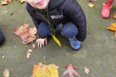 IMG-20251113-WA0001
