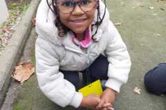 IMG-20251113-WA0002