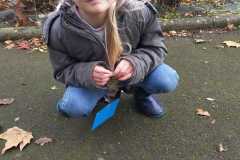 IMG-20251113-WA0007