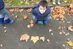 IMG-20251113-WA0008