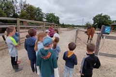 IMG_20260612_100702