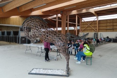 IMG_20260612_101914