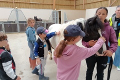IMG_20260612_103800
