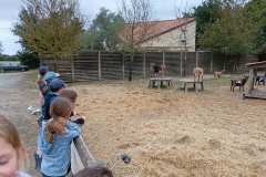 IMG_20260612_105328