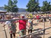 IMG20230625113152