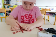 IMG_20260530_092704