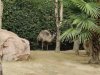 IMG20230609104103