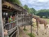 IMG20230609115658