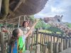 IMG20230609120236