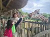 IMG20230609120250