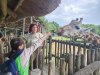 IMG20230609120357
