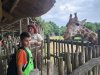 IMG20230609120404