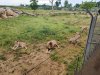 IMG20230609124221
