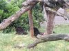 IMG_20230609_103741