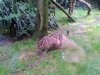 IMG_20230609_105333