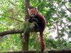 IMG_20230609_111526_977