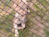 IMG_20230609_114815