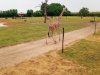 IMG_20230609_115737_154