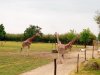 IMG_20230609_120351_412