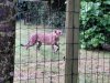 IMG_20230609_144404