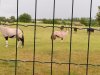 IMG_20230609_144432