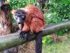 IMG_20230609_144936