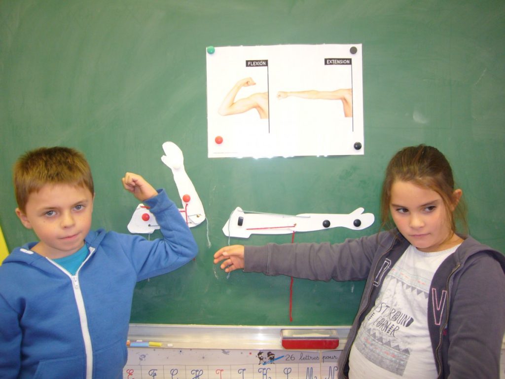 Notre défi sciences en CE1/CE2 (suite)