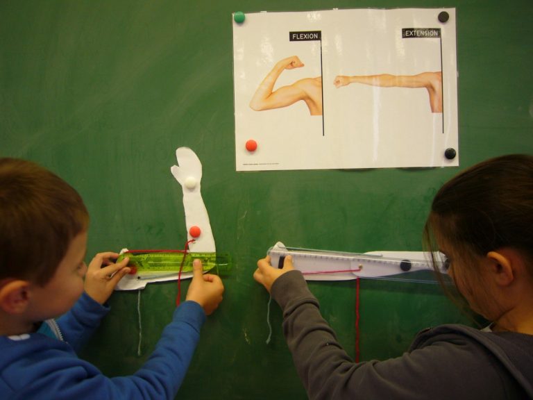 Notre défi sciences en CE1/CE2 (suite)