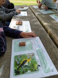 Les CP-CE1, CE1-CE2A et CE1-CE2B à la Cité des Oiseaux