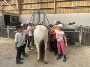 Sortie scolaire au centre équestre de St Philbert de Grand Lieu en CE1-CE2 B et CE2.